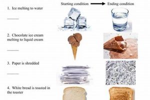 Free Printable Chemical & Physical Change Worksheets Physical Health & Fitness – Boost Your Body, Energy, and Wellbeing Free Printable Chemical & Physical Change Worksheets | Physical Health & Fitness – Boost Your Body, Energy, and Wellbeing