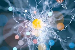 Explore the FLC Physics Catalog & Course Guide Physical Health & Fitness – Boost Your Body, Energy, and Wellbeing Explore the FLC Physics Catalog & Course Guide | Physical Health & Fitness – Boost Your Body, Energy, and Wellbeing