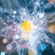 Explore the FLC Physics Catalog & Course Guide | Physical Health & Fitness – Boost Your Body, Energy, and Wellbeing