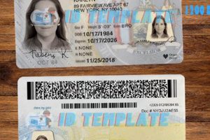 NY Driving: No Physical License? What to Know | Physical Health & Fitness – Boost Your Body, Energy, and Wellbeing