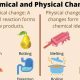 Is Fermentation a Chemical Change? The Science Explained | Physical Health & Fitness – Boost Your Body, Energy, and Wellbeing
