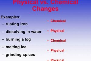 Grinding: Physical Change or Chemical Reaction? Physical Health & Fitness – Boost Your Body, Energy, and Wellbeing Grinding: Physical Change or Chemical Reaction? | Physical Health & Fitness – Boost Your Body, Energy, and Wellbeing