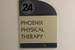 Top Phoenix Physical Therapy in Amherst NY Physical Health & Fitness – Boost Your Body, Energy, and Wellbeing Top Phoenix Physical Therapy in Amherst NY | Physical Health & Fitness – Boost Your Body, Energy, and Wellbeing