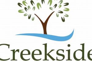 Restore & Thrive: Creekside Physical Therapy Physical Health & Fitness – Boost Your Body, Energy, and Wellbeing Restore & Thrive: Creekside Physical Therapy | Physical Health & Fitness – Boost Your Body, Energy, and Wellbeing