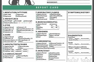 Free Veterinary Physical Exam Template & Guide Physical Health & Fitness – Boost Your Body, Energy, and Wellbeing Free Veterinary Physical Exam Template & Guide | Physical Health & Fitness – Boost Your Body, Energy, and Wellbeing