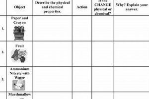 Exploring Physical & Chemical Change Labs Physical Health & Fitness – Boost Your Body, Energy, and Wellbeing Exploring Physical & Chemical Change Labs | Physical Health & Fitness – Boost Your Body, Energy, and Wellbeing
