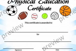 Best Physical Education Certification Online Programs | Physical Health & Fitness – Boost Your Body, Energy, and Wellbeing