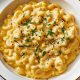 Mac & Cheese Science: Exploring Physical Properties | Physical Health & Fitness – Boost Your Body, Energy, and Wellbeing