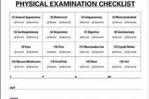 Complete Dog Physical Exam Checklist Guide Physical Health & Fitness – Boost Your Body, Energy, and Wellbeing Complete Dog Physical Exam Checklist Guide | Physical Health & Fitness – Boost Your Body, Energy, and Wellbeing