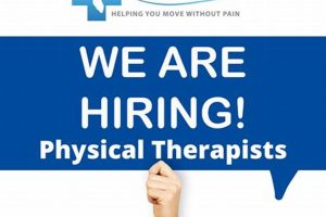 Top Physical Therapy Jobs in Florida Now Physical Health & Fitness – Boost Your Body, Energy, and Wellbeing Top Physical Therapy Jobs in Florida Now | Physical Health & Fitness – Boost Your Body, Energy, and Wellbeing