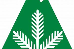 Top Berkshire Sports Physical Therapy Clinics Physical Health & Fitness – Boost Your Body, Energy, and Wellbeing Top Berkshire Sports Physical Therapy Clinics | Physical Health & Fitness – Boost Your Body, Energy, and Wellbeing