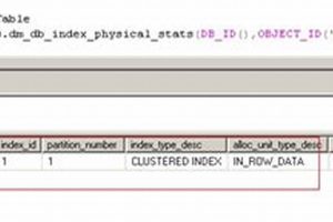 SQL Server Index Stats: dm_db_index_physical_stats Guide | Physical Health & Fitness – Boost Your Body, Energy, and Wellbeing