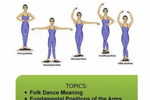 Top Physical Education Positions: A Guide | Physical Health & Fitness – Boost Your Body, Energy, and Wellbeing