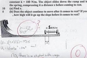 Top 10 Funny Physics Exam Answers: A Must-Read | Physical Health & Fitness – Boost Your Body, Energy, and Wellbeing