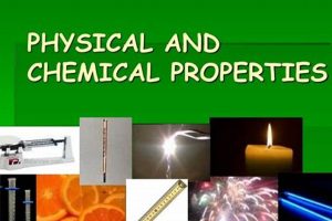 Exploring Physical & Chemical Properties in PowerPoint Physical Health & Fitness – Boost Your Body, Energy, and Wellbeing Exploring Physical & Chemical Properties in PowerPoint | Physical Health & Fitness – Boost Your Body, Energy, and Wellbeing