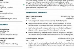 Best Physical Therapy Resume Tips & Examples Physical Health & Fitness – Boost Your Body, Energy, and Wellbeing Best Physical Therapy Resume Tips & Examples | Physical Health & Fitness – Boost Your Body, Energy, and Wellbeing