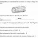 Worksheet Answers: Physical & Chemical Properties | Physical Health & Fitness – Boost Your Body, Energy, and Wellbeing