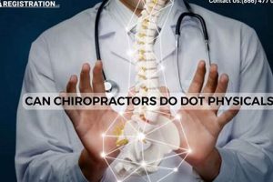Top Chiropractors for DOT Physicals Near You Physical Health & Fitness – Boost Your Body, Energy, and Wellbeing Top Chiropractors for DOT Physicals Near You | Physical Health & Fitness – Boost Your Body, Energy, and Wellbeing