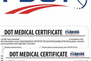 Fast DOT Physical Exam Orlando FL | Renew Today Safem Fabrication - Precision Engineering & Custom Manufacturing Solutions Fast DOT Physical Exam Orlando FL | Renew Today | Safem Fabrication - Precision Engineering & Custom Manufacturing Solutions