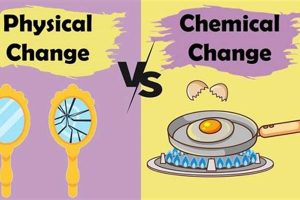 Lab Guide: Physical vs. Chemical Change Physical Health & Fitness – Boost Your Body, Energy, and Wellbeing Lab Guide: Physical vs. Chemical Change | Physical Health & Fitness – Boost Your Body, Energy, and Wellbeing