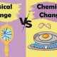 Lab Guide: Physical vs. Chemical Change | Physical Health & Fitness – Boost Your Body, Energy, and Wellbeing