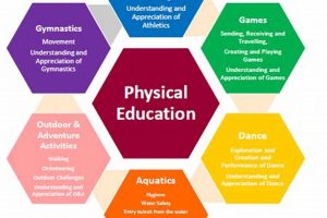 Effective Physical Education Units: A Guide Physical Health & Fitness – Boost Your Body, Energy, and Wellbeing Effective Physical Education Units: A Guide | Physical Health & Fitness – Boost Your Body, Energy, and Wellbeing