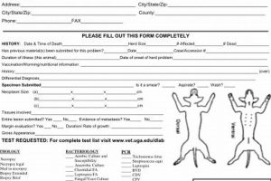 Vet Physical Exam Templates: Free Download Physical Health & Fitness – Boost Your Body, Energy, and Wellbeing Vet Physical Exam Templates: Free Download | Physical Health & Fitness – Boost Your Body, Energy, and Wellbeing