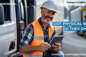 DOT Physical Exam: What to Expect & Prepare For Physical Health & Fitness – Boost Your Body, Energy, and Wellbeing DOT Physical Exam: What to Expect & Prepare For | Physical Health & Fitness – Boost Your Body, Energy, and Wellbeing