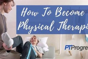 Become a Physical Therapist: How Long Does It Take? Physical Health & Fitness – Boost Your Body, Energy, and Wellbeing Become a Physical Therapist: How Long Does It Take? | Physical Health & Fitness – Boost Your Body, Energy, and Wellbeing