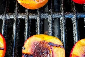 Grilled Peaches: Exploring the Physical Transformation Physical Health & Fitness – Boost Your Body, Energy, and Wellbeing Grilled Peaches: Exploring the Physical Transformation | Physical Health & Fitness – Boost Your Body, Energy, and Wellbeing