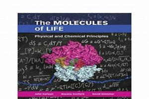 Exploring the Molecules of Life: Physical & Chemical Principles Physical Health & Fitness – Boost Your Body, Energy, and Wellbeing Exploring the Molecules of Life: Physical & Chemical Principles | Physical Health & Fitness – Boost Your Body, Energy, and Wellbeing