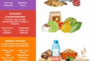 Eating Before a Physical Exam: Should You? Physical Health & Fitness – Boost Your Body, Energy, and Wellbeing Eating Before a Physical Exam: Should You? | Physical Health & Fitness – Boost Your Body, Energy, and Wellbeing