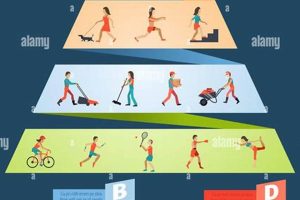 Lifestyle Activities: Base of the Fitness Pyramid Physical Health & Fitness – Boost Your Body, Energy, and Wellbeing Lifestyle Activities: Base of the Fitness Pyramid | Physical Health & Fitness – Boost Your Body, Energy, and Wellbeing