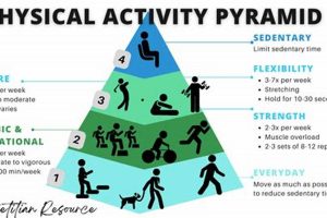 Sedentary Activities & the Physical Activity Pyramid Physical Health & Fitness – Boost Your Body, Energy, and Wellbeing Sedentary Activities & the Physical Activity Pyramid | Physical Health & Fitness – Boost Your Body, Energy, and Wellbeing