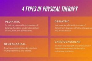 Top 5 Most Expensive Physical Therapy Services & Costs Physical Health & Fitness – Boost Your Body, Energy, and Wellbeing Top 5 Most Expensive Physical Therapy Services & Costs | Physical Health & Fitness – Boost Your Body, Energy, and Wellbeing