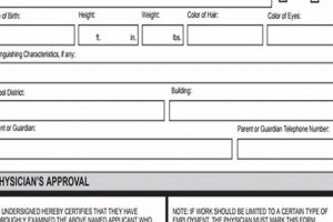 Ohio Work Permit Physical Form: Guide & FAQs Physical Health & Fitness – Boost Your Body, Energy, and Wellbeing Ohio Work Permit Physical Form: Guide & FAQs | Physical Health & Fitness – Boost Your Body, Energy, and Wellbeing