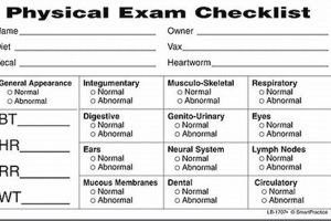 Complete Veterinary Physical Exam Checklist Guide Physical Health & Fitness – Boost Your Body, Energy, and Wellbeing Complete Veterinary Physical Exam Checklist Guide | Physical Health & Fitness – Boost Your Body, Energy, and Wellbeing