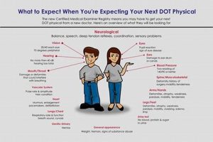 Get Your DOT Physical Exam in Salt Lake City Today! Physical Health & Fitness – Boost Your Body, Energy, and Wellbeing Get Your DOT Physical Exam in Salt Lake City Today! | Physical Health & Fitness – Boost Your Body, Energy, and Wellbeing