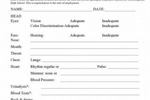 Complete a Job Application Form: A Guide Physical Health & Fitness – Boost Your Body, Energy, and Wellbeing Complete a Job Application Form: A Guide | Physical Health & Fitness – Boost Your Body, Energy, and Wellbeing