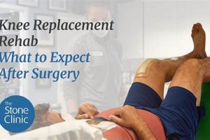 Top Knee Replacement Physical Therapy Near Me | Physical Health & Fitness – Boost Your Body, Energy, and Wellbeing