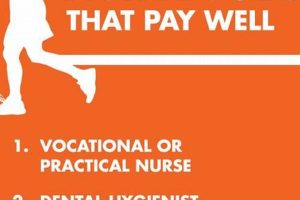 Top Physically Active Jobs That Pay Well in 2024 Physical Health & Fitness – Boost Your Body, Energy, and Wellbeing Top Physically Active Jobs That Pay Well in 2024 | Physical Health & Fitness – Boost Your Body, Energy, and Wellbeing
