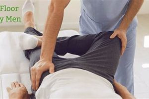 Male Pelvic Floor Exam: Guide & FAQs Physical Health & Fitness – Boost Your Body, Energy, and Wellbeing Male Pelvic Floor Exam: Guide & FAQs | Physical Health & Fitness – Boost Your Body, Energy, and Wellbeing