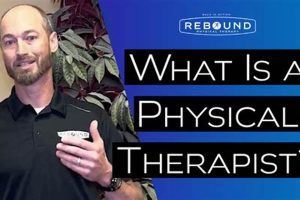 Top Rebound Physical Therapy Jobs & Careers Physical Health & Fitness – Boost Your Body, Energy, and Wellbeing Top Rebound Physical Therapy Jobs & Careers | Physical Health & Fitness – Boost Your Body, Energy, and Wellbeing