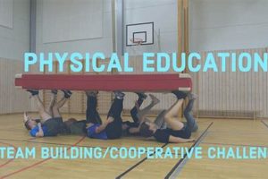 Top Physical Education Team Building Games & Activities | Physical Health & Fitness – Boost Your Body, Energy, and Wellbeing