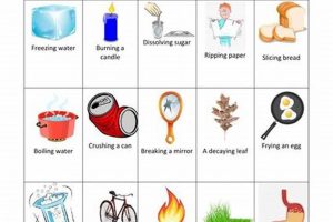Exploring Physical & Chemical Change Activities Physical Health & Fitness – Boost Your Body, Energy, and Wellbeing Exploring Physical & Chemical Change Activities | Physical Health & Fitness – Boost Your Body, Energy, and Wellbeing