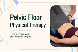 Best Pelvic Floor Physical Therapy in Rochester, NY | Physical Health & Fitness – Boost Your Body, Energy, and Wellbeing