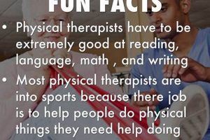 5 Amazing Facts About Physical Therapists You Must Know | Physical Health & Fitness – Boost Your Body, Energy, and Wellbeing