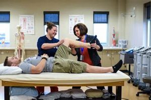 Top Physical Therapy Aide Jobs Near You Physical Health & Fitness – Boost Your Body, Energy, and Wellbeing Top Physical Therapy Aide Jobs Near You | Physical Health & Fitness – Boost Your Body, Energy, and Wellbeing