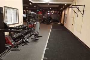 Best Physical Therapy in North Hollywood, CA Physical Health & Fitness – Boost Your Body, Energy, and Wellbeing Best Physical Therapy in North Hollywood, CA | Physical Health & Fitness – Boost Your Body, Energy, and Wellbeing