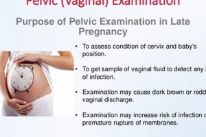 Period & Physical Exams: What You Need to Know Physical Health & Fitness – Boost Your Body, Energy, and Wellbeing Period & Physical Exams: What You Need to Know | Physical Health & Fitness – Boost Your Body, Energy, and Wellbeing